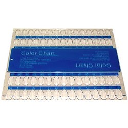 Polish Colour Palett 60 Tips Plastic